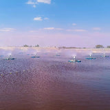 Floating mechanical atomization evaporator